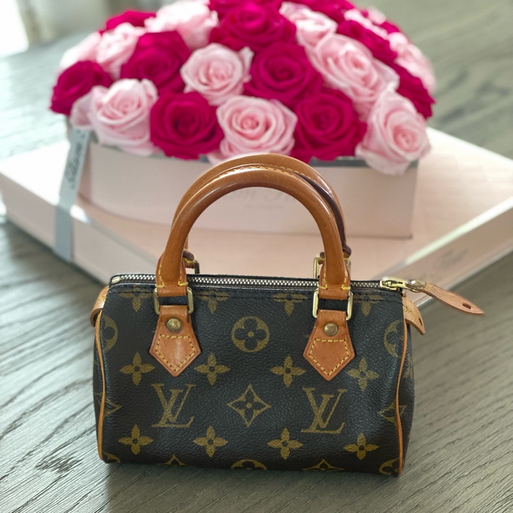 Louis Vuitton Speedy mini